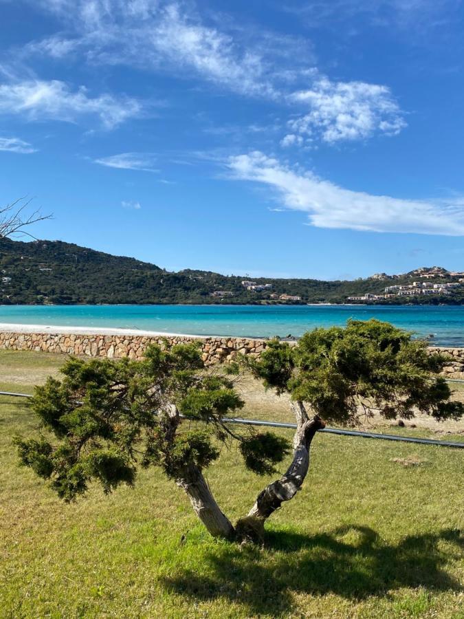 Cala Reale Rooms Marinella Santa Marinella Εξωτερικό φωτογραφία