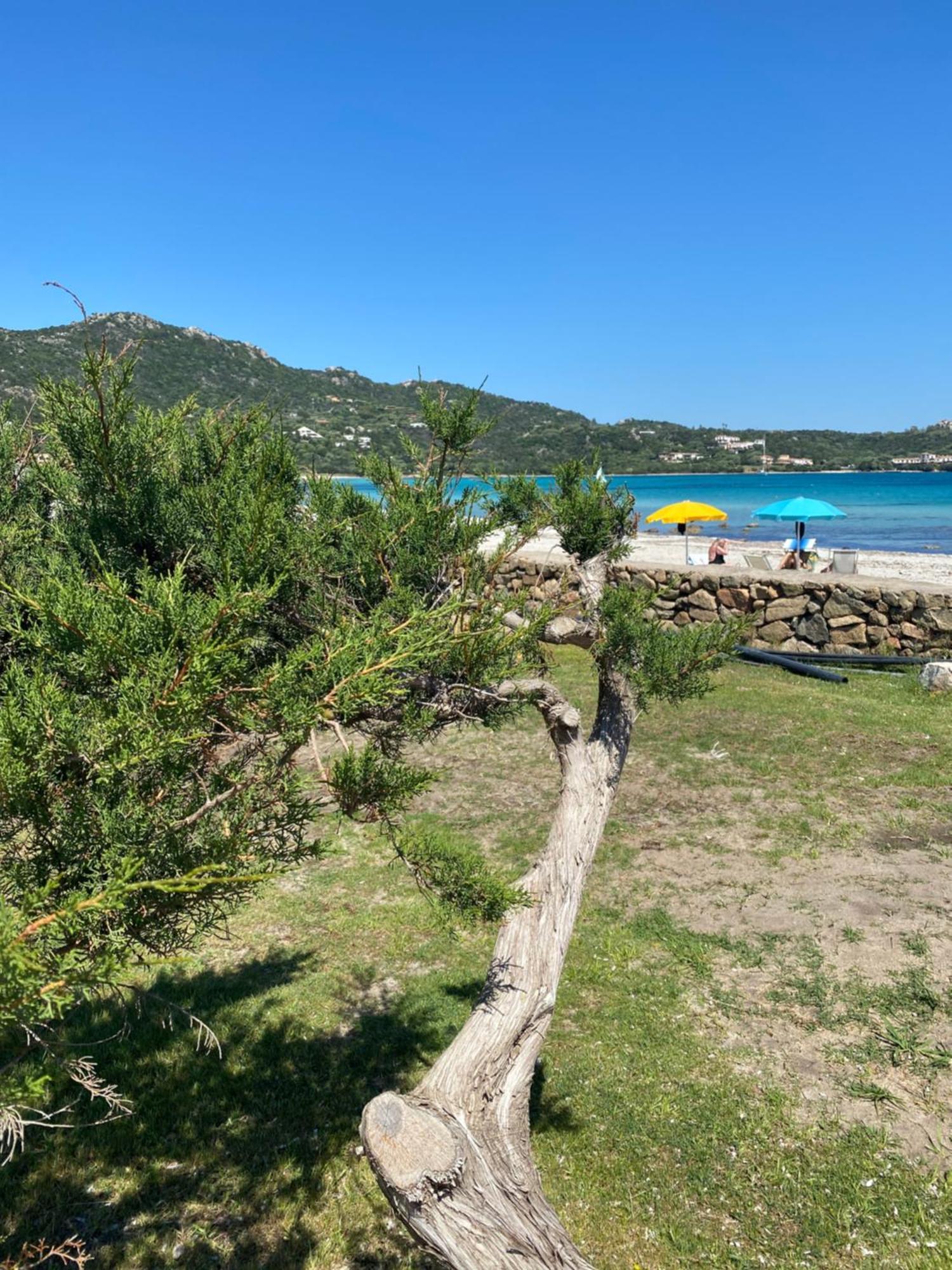 Cala Reale Rooms Marinella Santa Marinella Εξωτερικό φωτογραφία