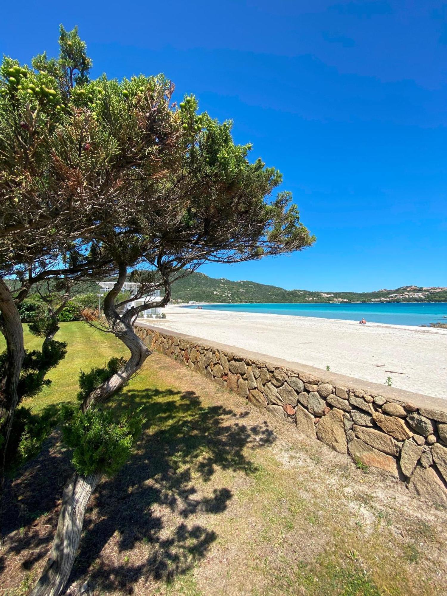 Cala Reale Rooms Marinella Santa Marinella Εξωτερικό φωτογραφία
